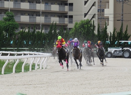 名古屋競馬 コースの特徴 ボートレースをもっと楽しむ ひねもすキャビテーション