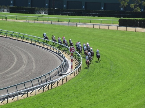 中京競馬場 コースの特徴 ボートレースをもっと楽しむ ひねもすキャビテーション